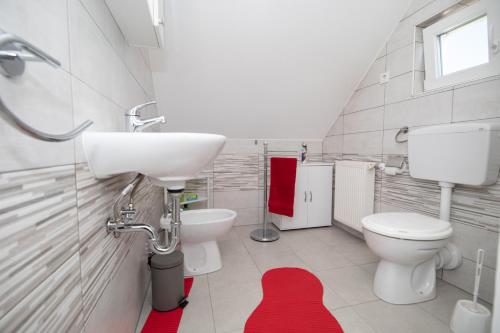 拉夫纳格拉Studio Apartman Poljančić的一间带水槽和卫生间的浴室以及红色地毯。