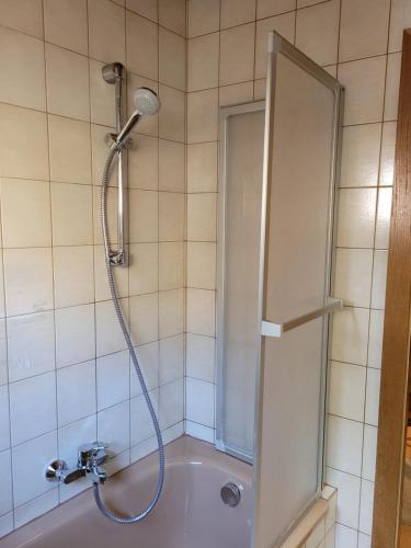米尔茨楚施拉格Ferienwohnung Max的带淋浴的浴室