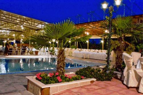纳乌萨玛西亚斯阿斯特拉斯酒店 的一座棕榈树和鲜花环绕的游泳池