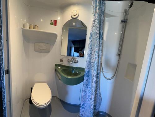 圣萨蒂南勒芒法斯特酒店的一间带水槽、卫生间和淋浴的浴室