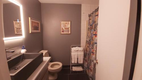 蒙特朗布朗Bernache的一间带水槽、卫生间和淋浴的浴室