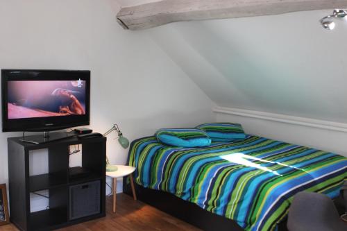 朗布依埃Studio à Rambouillet的一间卧室配有一张床和电视