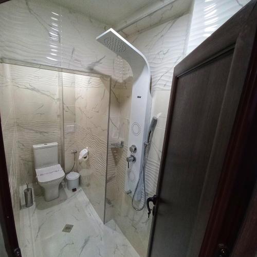 蒙塔纳Старата Лоза的带淋浴和卫生间的浴室