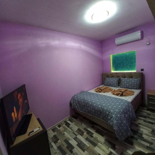 蒙塔纳Старата Лоза的卧室设有紫色墙壁和1张床