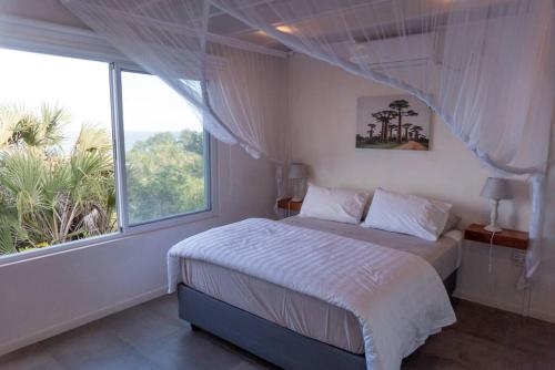 托弗海滩Coral Tree Surf Cottage - Tofinho, Tofo的一间卧室设有一张床和一个大窗户
