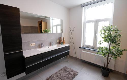 RekemBrasserie Sint Pieter的一间带水槽和大镜子的浴室