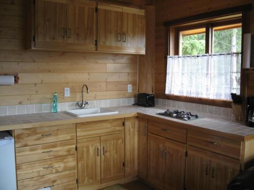 戈尔登Tschurtschenthaler Rentals的一个带木制橱柜和水槽的厨房