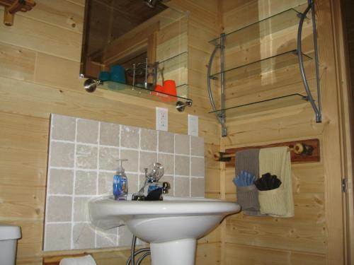 戈尔登Tschurtschenthaler Rentals的一间带水槽和卫生间的浴室