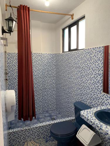 圣佩德罗拉拉古纳Hotel Villa del Lago, Gladys的一间带卫生间和水槽的浴室