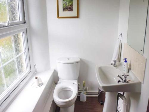 毕晓普斯堡Harley Apartment的白色的浴室设有卫生间和水槽。