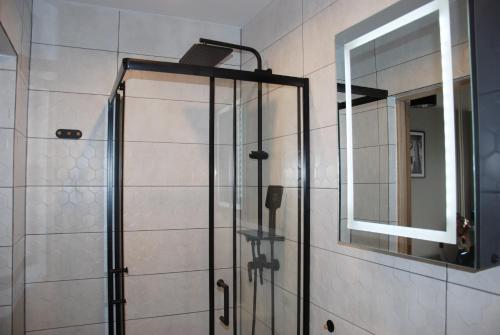扎维尔切Kryjówka Męża的玻璃门淋浴和镜子