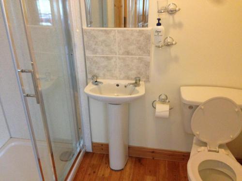 红堡Seawater View Accomadation - Accommodation only的一间带水槽、淋浴和卫生间的浴室
