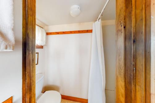 SurryDream Harbor Cottage的一间带卫生间和淋浴帘的浴室