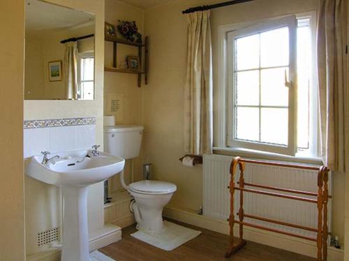 彻克Aqueduct Cottage的一间带卫生间、水槽和窗户的浴室