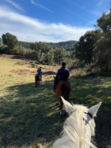 TorneiroRefúgio do Valouto的两个人在田野里骑马