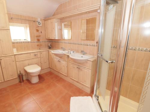 Great LongstoneThe Nook at Timbers的浴室配有卫生间、盥洗盆和淋浴。