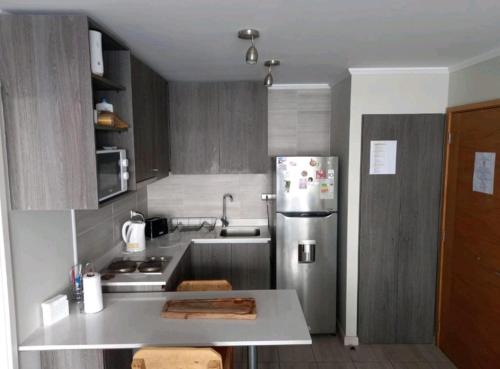 特木科Espacio GINEBRA的厨房配有不锈钢冰箱和橱柜