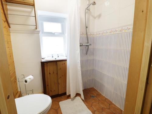 多尔盖罗Cae Tanws Bach的一间带卫生间、水槽和窗户的浴室