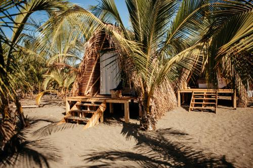 MorrilloCasa Morrillo的海滩上的小棚屋,棕榈树