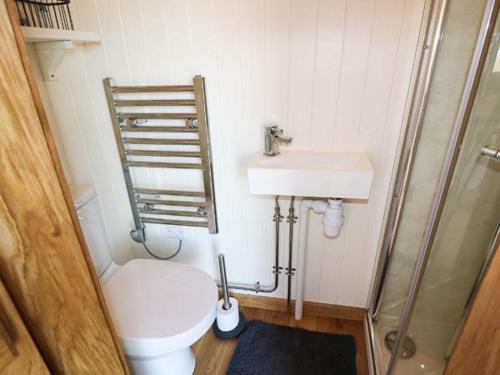 霍利黑德霍利黑德莱蒂布盖尔度假屋的一间带卫生间和水槽的小浴室