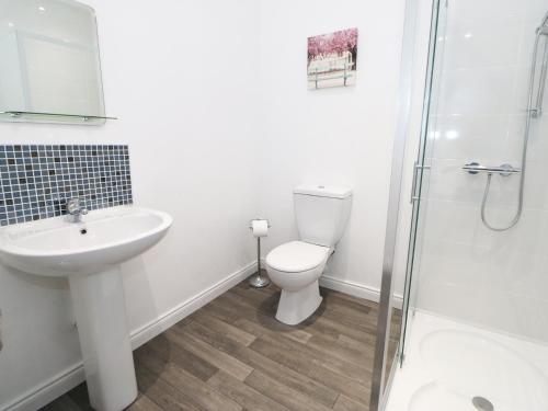 波弗特Ard Na Glen的浴室配有卫生间、盥洗盆和淋浴。