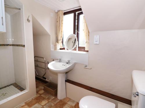 拉尼德洛伊斯Oak Cottage的一间带水槽和卫生间的浴室以及窗户。