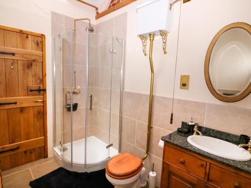 费克纳姆Honey Buzzard Barn的带淋浴、卫生间和盥洗盆的浴室