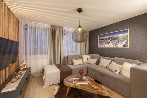 什平德莱鲁夫姆林Savoy Exclusive Mountain Apartment的客厅配有沙发和桌子