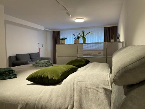 苏黎世Studio Gocki的一间卧室配有一张带绿色枕头的床。