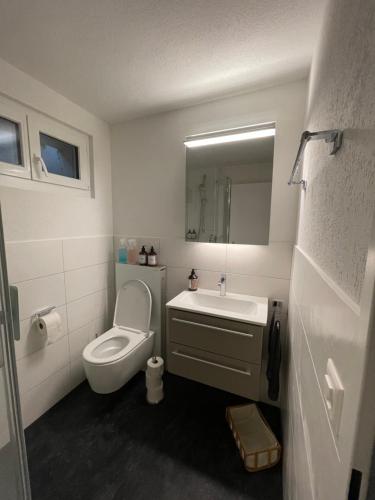 苏黎世Studio Gocki的白色的浴室设有卫生间和水槽。