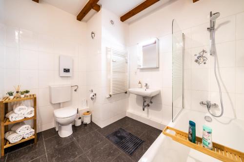汉诺威Stylisches Penthouse zentral Tischfussball 100m2 Wii的浴室配有卫生间、淋浴和盥洗盆。