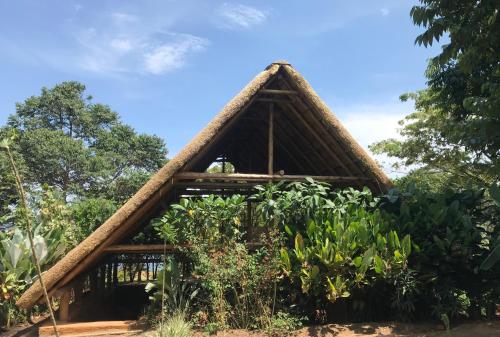 WakisoMabamba Lodge的花园中种有茅草屋顶的房子