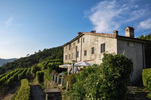 卡萨尔扎利古雷Casale In Vigna, CinqueTerreCoast的山坡上的藤蔓建筑