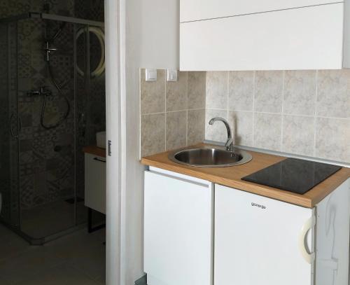 阿帕丁Apartments Marina的一个带水槽和淋浴的厨房