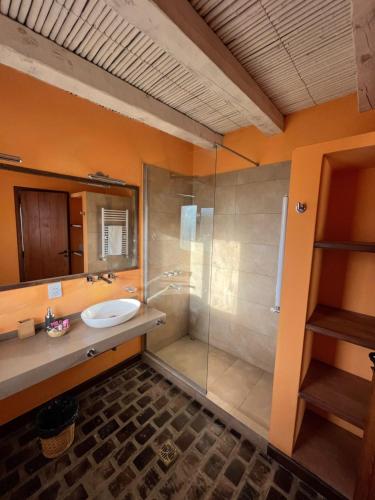 Fuerte QuemadoFinca Albarossa的一间带水槽和玻璃淋浴的浴室