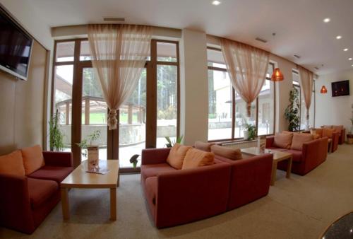 波罗维茨Studio Villa Park 410的带沙发和桌子的客厅以及窗户。