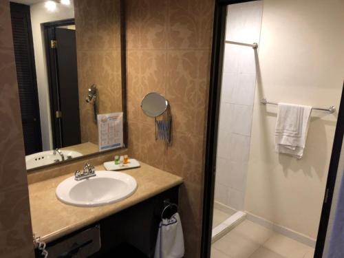 贾拉普克拉拉月神酒店的一间带水槽和淋浴的浴室
