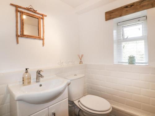 纽基Barn Acre Cottage的白色的浴室设有卫生间和水槽。