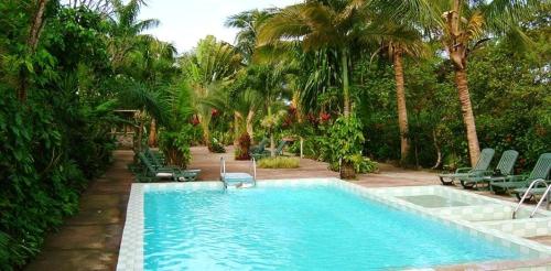 ColihautSunset Bay Club All Inclusive的一个带椅子的游泳池,棕榈树