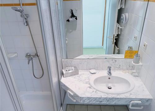 艾珍兰德鲁夫特酒店餐厅的一间带水槽和淋浴的浴室