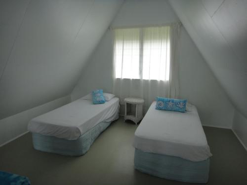 拉罗汤加贝塔拉海滨度假屋 的小型客房 - 带2张床和窗户