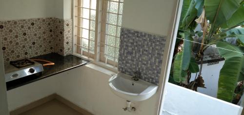 科钦Jestine Homestay的一间带水槽和窗户的浴室