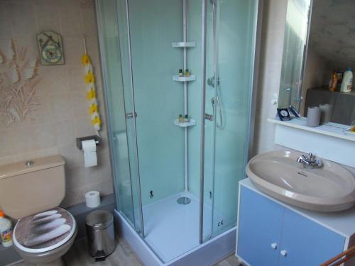滨海贝尔克L Imperatrice的带淋浴、卫生间和盥洗盆的浴室