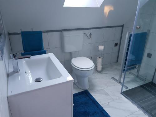 圣安德烈Szöcske Guesthouse In the Danube Bend near Budapest的白色的浴室设有卫生间和水槽。
