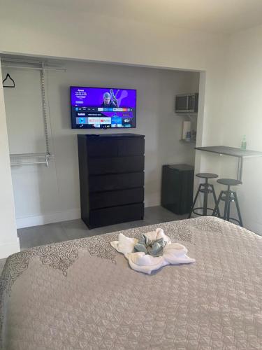 迈阿密LYZ Miami的一间卧室配有一张床和一台平面电视