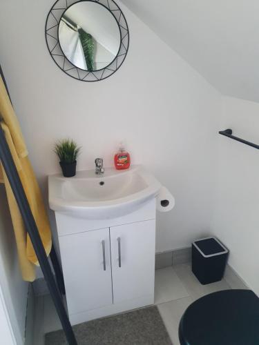 PortlawMount Bolton Apartment的浴室设有水槽和墙上的镜子