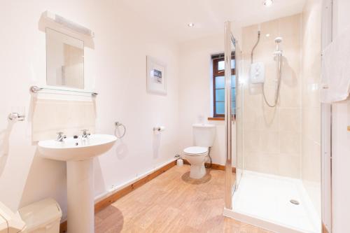 德维兰Carnedd Cottage的带淋浴、盥洗盆和卫生间的浴室