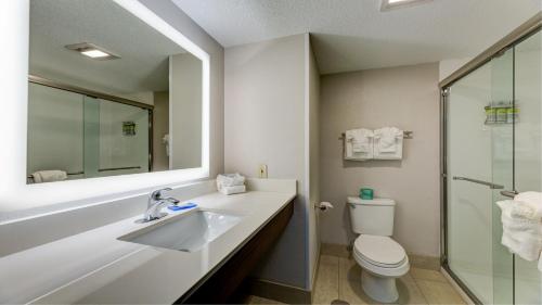 Austinburg阿什塔比拉日内瓦智选假日酒店及套房的一间带水槽、卫生间和镜子的浴室
