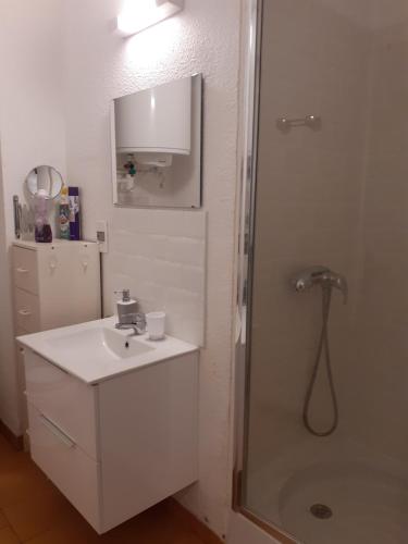 鲁西隆地区卡内Appartement Canet Sud Jardin et parking的白色的浴室设有水槽和淋浴。