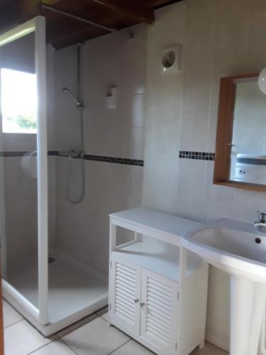 CarentoirLe Domaine du Cerf Blanc的带淋浴和盥洗盆的白色浴室